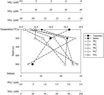 Metabolic activity and community structure of prokaryotes associated with particles in the twilight zone of the South China Sea